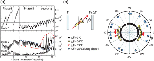 Figure 48. During the regeneration of H. vulgaris, a cellular cluster first establishes a spherical arrangement consisting of a hollow cellular double layer. This spheroid's regeneration can be described by three phases with saw tooth like oscillations – the radius and the second, third Fourier modes are depicted in (a). The transition from phase II to III shows a transition to non-uniform tissue elasticity as the pressurized cell ball is stronger deformed (red line) as the relaxed one (blue line). (b) Orientation of the hydra head with respect to the direction of a temperature gradient across the cell aggregate. During the transition from phase I to II, the axis is locked. Small temperature gradients applied from the beginning are sufficient to significantly affect the orientation of the head (yellow squares, red triangles) which is a signature of the system's critical state. Later, application of a temperature gradient does no longer result in an overall reorientation (blue circles). Images were adapted from Citation584 Citation497 (b) (with permission from Albrecht Ott).