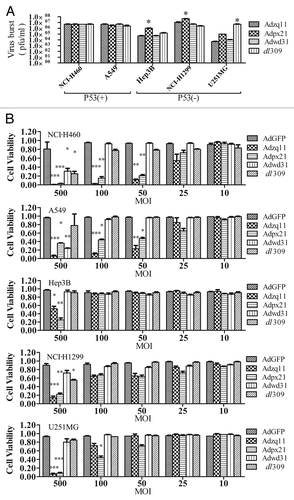 Figure 2. Virus replication and oncolytic effect of RCAd. The cancer cell lines NCI-H460, A549, Hep3B, NCI-H1299, and U251MG were infected with 10 MOI of different RCAd, wild-type adenovirus dl309 was used as a control. The cell lysates were prepared at 72 h and viral titers were measured by plaque-forming assay. The titer values are shown as mean ± SD from triplicates (A). All cancer cells mentioned above were infected with different RCAd at 10, 25, 50, 100, and 500 MOI respectively. Cell viability was measured using CCK-8 assay 7 d post-infection. Each infection were performed in 5 wells and repeated 3 times. Data are shown as the mean ± SD and compared with AdGFP alone (B). *P < 0.05, **P < 0.01, ***P < 0.001.