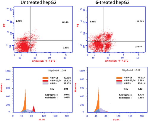 Figure 5. (A) Cryptographs of annexin-V/Propidium Iodide staining of untreated and 6-treated HepG2 cells with the IC50 values, 48 h, “Q1-UL (necrosis, AV-/PI+), Q1-UR (late apoptotic cells, AV+/PI+), Q1-LL (normal cells, AV-/PI-), Q1-LR (early apoptotic cells, AV+/PI-)”, (B) Percentage of cell population at each cell cycle G0-G1, S, G2/M, and Pre-G1 using DNA content-flow cytometry aided cell cycle analysis.