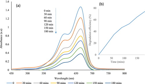 Figure 10. (a) Photocatalytic degradation of MB using broc-ZnO as a catalyst and under UV irradiation and inset, (b) Spectra of percentage degradation.