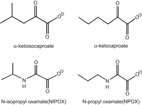 Figure 1.  Structures of α-ketocaproate and α-ketoisocaproate, the best substrates of T. cruzi α-HADH-isozyme II, and the inhibitors N-propyl oxamate and N-isopropyl oxamate.