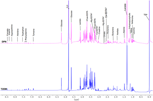 Figure 1 Representative 600‐MHz 1H nuclear magnetic resonance spectrum (δ0.0~8.75,) of the T2DM group (blue) and DPN group (purple). All peaks were referenced to the resonance of TSP at 0 ppm. Free EDTA signals in all samples indicated that all Ca2+ and Mg2+ were chelated. Ca-EDTA, Mg-EDTA were EDTA complexes.
