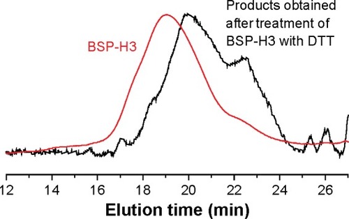 Figure 7 GPC curves of the BP(DMAEMA-co-MAEBA-co-DTDMA)(PMAGP)n with Mn =30,600 g/mol (BSP-H3), and the degraded products (Mn =7,600 g/mol) after BSP-H3 was treated with DTT at room temperature for 48 hours.Abbreviations: GPC, gel permeation chromatography; BP, branched polymer; BSP, branched star polymer; DTDMA, 2,2′-dithiodiethyoxly dimethacrylate; DMAEMA, 2-(N,N-dimethylaminoethyl)methacrylate; MAEBA, p-(methacryloxyethoxy)benzal-dehyde; PMAGP, poly(6-O-methacryloyl-D-galactopyranose); DTT, dithiothreitol; min, minutes.