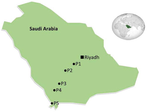 Figure 18. The five sites selected for drilling wells by the ministry of petroleum and mineral