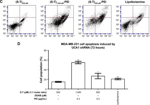 Figure 8 Apoptosis induction by shRNA UCA1 complexed with different cationic vesicles in MCF-7 (A and B) and MDA-MB-231 (C and D) cancer cell lines.Notes: (A and C) FITC Annexin V and PI staining assay results. (B and D) Early and late apoptosis were used together to show total apoptosis. The (T:S)520 μM lipoplex was used as a control, which only had a U6 plasmid without shRNA UCA1 transfecting vector. The results are shown as the mean±SD of three independent experiments. Student’s t-test was used for the analysis of significant differences (P<0.05, n=3). Significance is *P<0.5 and **P<0.01.Abbreviations: DDAB, didodecyldimethylammonium bromide; PEI, polyethyleneimine; PI, propidium iodide; S, squalene; T, Tween 80.