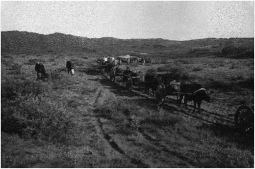 Photo 1. Chinese ox-wagon team at the Riverside of Nugas Gol, July 121931.