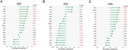 Figure 4. Correlation analysis between preoperative variables and disease severity. (A) Correlation between ODI score and preoperative variables. (B) Correlation between JOA score and preoperative variables. (C) Correlation between VAS score and preoperative variables.
