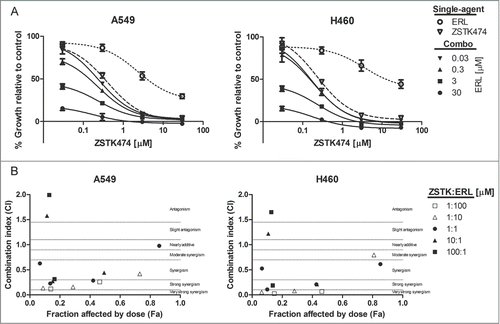 Figure 7. Combined ZSTK474 and erlotinib can synergistically reduce proliferation in KRAS active NSCLC. (A) A549 and H460 cells were treated with the indicated concentrations of each inhibitor, as a single-agent, or in combination. Combination data are presented as individual curves at fixed erlotinib concentrations (0.03–30μM) plotted against increasing ZSTK474 concentrations (0.03–30μM). Points represent the mean of 3 independent experiments +/− SD, and lines were fitted using non-linear regression analysis. (B) Median effect analysis was performed by CompuSyn software to study the interaction between the inhibitor combinations at the concentrations indicated in (A). Points represent the mean of 3 independent experiments. Dotted lines mark range of interaction classification.