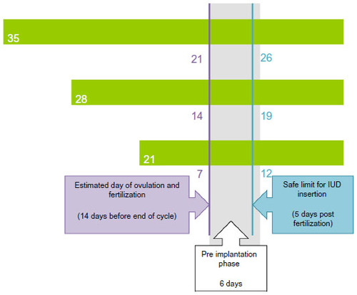 Figure 2 Calculation of safe limits for intrauterine device (IUD) insertion with three different cycle lengths.