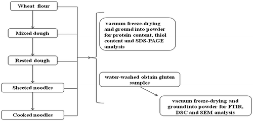 Figure 1. Method of sampling and sample analysis in fresh noodle processing.