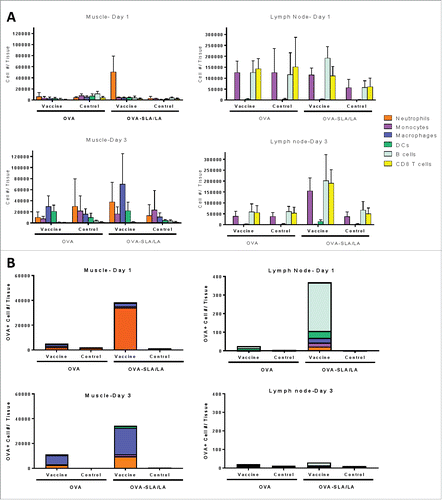 Figure 8. Immune cell recruitment and antigen uptake induced by SLA/LA. C57BL/6 mice (n = 4–5/group) were injected i.m. in the left tibialis anterior (TA) muscle on Day 0 with AF647-labeled OVA (20 µg; alone or encapsulated in SLA/LA archaeosomes). The right TA of all animals was injected with PBS for use as a negative control. The TAs and draining inguinal lymph nodes (right and left) were collected on Days 1 or 3 following injection. Immune cells were isolated from each tissue, counted and fluorescently stained with an antibody cocktail to differentiate different immune cell populations: B cells, CD8+ T cells, dendritic cells (DC), macrophages, monocytes and neutrophils. The number of cells from the above cell populations was determined per tissue through flow cytometry (A; group means ± standard deviation). The number and immunophenotype of antigen-positive (OVA-AF647+) cells was determined in each tissue (B; group means).