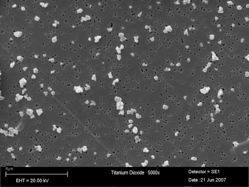 FIG. 3  Titanium dioxide Bayertitan T (5000×).