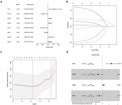 Figure 2. Construction of the prognostic signature. (a) Univariate regression analysis. (b,c) LASSO regression analysis (d) Multivariate regression analysis