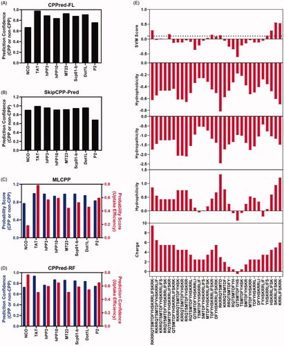 Figure 2. Cell penetrating peptide prediction. (A) CPP or non-CPP prediction of peptide P2 by CPPred-FL server. (B) CPP or non-CPP prediction of peptide P2 by SkipCPP-Pred server. (C) CPP or non-CPP and uptake efficiency prediction of peptide P2 by MLCPP server. (D) CPP or non-CPP and uptake efficiency prediction of peptide P2 by CPPred-RF server. (E) CPP prediction by using physiochemical properties-based SVM model and motif-based model.