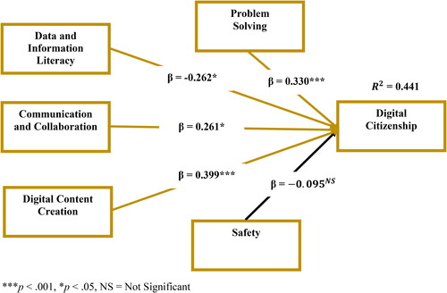 Figure 6. Revised conceptual framework. ***p < .001, *p < .05, NS = not significant. Source: Authors’ construct. Display full size Significant path. Display full size Non-significant path.