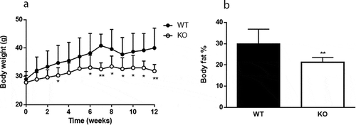 Figure 1. Cyp8b1−/- (KO) mice are protected against diet-induced obesity. (a) Body weight curve during 12 weeks of high-fat diet (HFD) feeding of Cyp8b1+/+ (WT) and Cyp8b1−/- (KO) mice. Data is shown as mean ± S.D, n = 16–17. (b) Body fat percent of Cyp8b1+/+ and Cyp8b1−/- mice following 12 weeks of HFD feeding. Data is shown as mean ± SD, n = 7. ** = p < 0.01 and * = p < 0.05