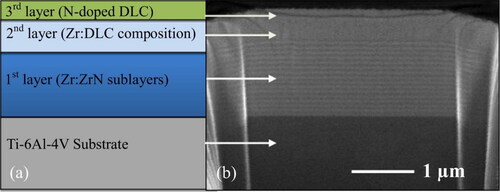 Figure 12. (a) Schematic illustration of DLC coating. (b) SEM image of DLC coating (oblique angle view of the cross-section) [Citation153]. Copyright 2017, reprinted with permission from Elsevier.
