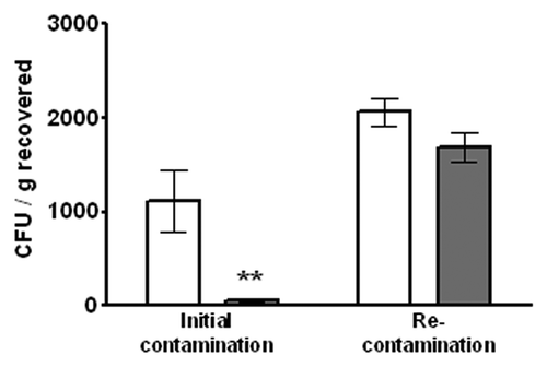 Figure 3. Effect of EcoShield™ on recontamination of ground beef. White bars indicate PBS controls lacking EcoShield™, gray bars indicate EcoShield™ treated test groups. Error bars represent the SEM (n = 3). ** indicates statistical significance (p < 0.05 value).