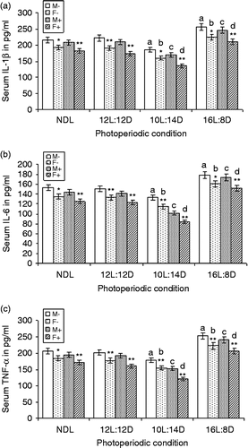 Figure 6.  LPS treatment and serum IL-1β (a), IL-6 (b), and TNF-α (c) concentrations under different photoperiods. NDL, 12L:12D, 12 h light 12 h dark; SD, 10L:14D; LD, 16L:8D, N = 7 per group. Data are Mean +/ − SEM. **p < 0.01 vs. respective female treatment in the same photoperiodic group; paired t-test; a: p < 0.01 vs. control males in NDL group; b: p < 0.01 control females in NDL group; c: p < 0.01 vs. LPS-treated males in NDL group; d: p < 0.01 vs. LPS-treated females in NDL group; one-way ANOVA followed by post-hoc test Tukey's HSD. M − : untreated, control, male; F − : untreated, control, female; M+: LPS-treated male; F+: LPS-treated female.