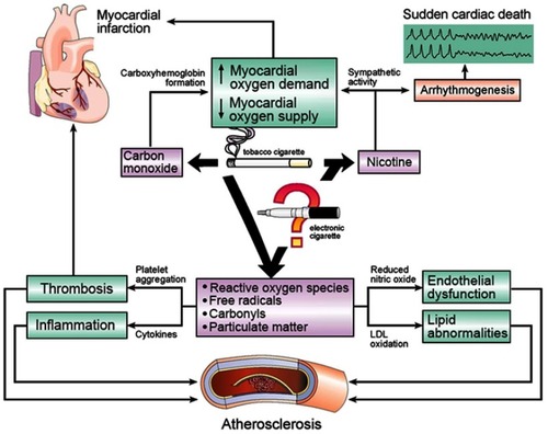 Figure 1 Effects of tobacco-cigarette smoke on cardiovascular disease.Notes: Carbon monoxide, nicotine, free radicals, carbonyls (including acrolein), and particulate matter are known components of tobacco-cigarette smoke that contribute to cardiovascular disease. Electronic cigarettes do not emit carbon monoxide, but still deliver nicotine, and often (but not always) detectable levels of these other components, making their cardiovascular risk less clear.