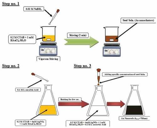 Scheme 1. Fabrication of gold nanorods via seed-mediated method.