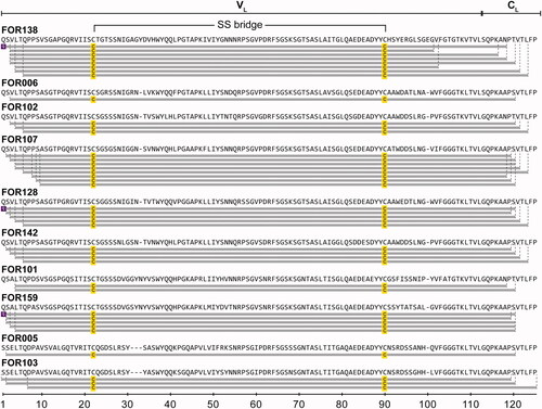 Figure 2. Overview of the sequence coverage of the fibril proteins of the 10 AL patients found by MS. Disulphide bonded cysteine is highlighted in yellow and pyroglutamate is highlighted in violet. The dashed lines indicate the N- and C-terminal ends.