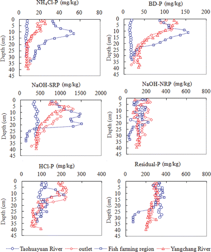 Figure 3 Vertical P fractions in the Taohuayuan River site, the outlet site, the Yangchang River site, and the fish-farming site in the Hongfeng Reservoir, southwestern China.