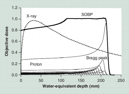 Figure 1. Depth–dose distribution of proton and photon beam.SOBP: Spread out of Bragg peak.