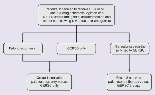 Figure 1. Study design.GERSC: Granisetron extended-release subcutaneous; HEC: Highly emetogenic chemotherapy; MEC: Moderately emetogenic chemotherapy.