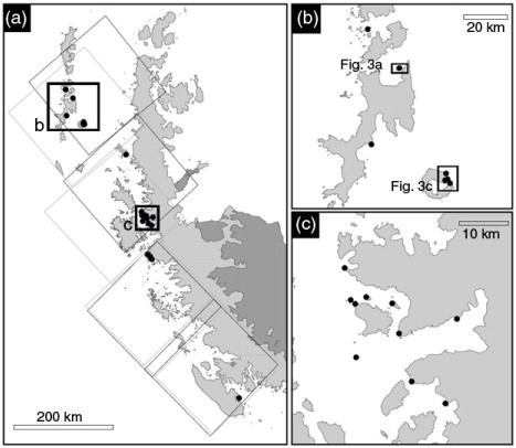 Fig. 2  (a) Location of the ground-truthing sites (open circles) along the Antarctic Peninsula, where the large black squares indicate the extent of the Landsat 7 tiles and the large grey squares indicate the extent of the Landsat 8 tiles. (b) The South Shetland Islands (Fig. 3) and (c) the Danco Coast area (close to Anvers Island). The projection of the maps is Lambert Azimuthal Equal Area.