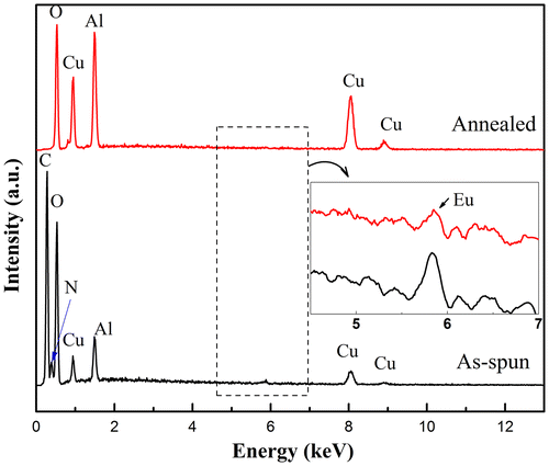 Figure 5. EDS spectra of as-spun polymeric fibers and annealed CuAl0.99Eu0.01O2 ceramic fibers. The enlarged inset shows the presence of Eu.