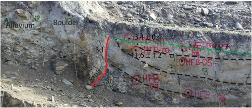 Figure 14. Detail of upper part of the north wall of the Rock Creek Trench. Black dashed lines show bedding and green dashed lines shows unconformity related to the MRE. Black dots show OSL sample locations with ages in thousands of years before present.