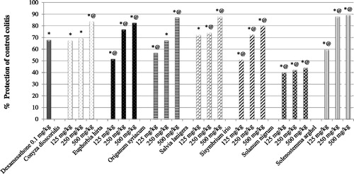 Figure 1. Curative effect of investigated plant extracts on acetic acid-induced colitis in rats. The figure shows % protection of control colitis for 22 groups of animals (n = 6), treated with alcohol extract of investigated plant extracts (125, 250, and 500 mg/kg) and dexamesathone (0.1 mg/kg) for 5 successive days after ulcerative colitis induction. The colitis was induced by slowly infusion of 2 ml (4%, v/v) acetic acid in saline into the colon through the catheter. *Significantly different from control colitis at p < 0.05. @Significantly different from dexamesathone at p < 0.05.