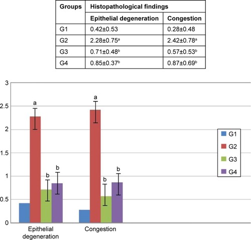 Figure 2 Histoscore value of histopathological findings in each group.