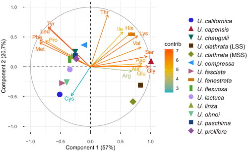 Figure 3. A principal component analysis of the amino acid profiles (% of protein) of various Ulva spp. from different geographic regions and cultivation conditions. Data are taken from Supplementary Table 3 and analyzed using JMP® pro v. 17 (SAS Institute Inc., Cary, NC, USA). Prior to analysis, data underwent a log + 0.1 transformation. The “contrib scale” indicates the contributions (in percentage) of the variables to the principal axes. LSS: large scale system; MSS: medium scale system (Peña-Rodríguez et al. Citation2011). Arg: arginine; ala: alanine; asp: aspartic acid; cys: cysteine; gly: glycine; glu: glutamic acid; his: histidine; ile: isoleucine; leu: leucine; lys: lysine; met: methionine; phe: phenylalanine; pro: proline; thr: threonine; tyr: tyrosine; ser: serine; val: valine.
