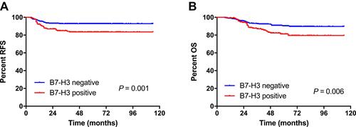 Figure 3 Kaplan–Meier curves showing the (A) relapse-free survival (RFS) and (B) overall survival (OS) of patients with cervical cancer according to B7 homolog 3 (B7-H3) expression in tumor cells.