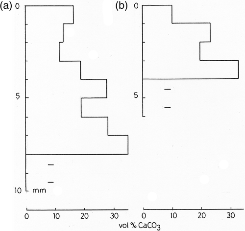 Fig. 3. Calcium carbonate content (vol. %) of Rivularia with depth. (a) R. haematites. (b) R. biasolettiana. Accurate values are not available for deepest parts of colony owing to breakdown of mucilage. Measurements averaged from duplicate samples taken from single colony.