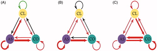 Figure 3. Schematic representation of fungal interactions in co-culture on PDA (A), CP (B), and MM (C), where Aspergillus niger is represented as AS, Cladosporium sp. as CL, and Coprinellus micaceus as CO. Red lines indicate antagonism, black lines neutral interactions, and green lines synergistic interactions. Line width is proportional to the intensity of interactions.