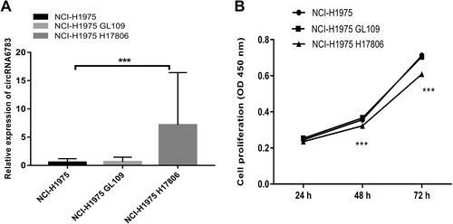 Figure 3 Overexpression of circRNA6783 (NCI-H1975 H17806) inhibited LA cell proliferation in vitro.***P<0.001 vs blank cells (NCI-H1975) and control cells (NCI-H1975 GL109). The values were the average of six independent experiments. ***P<0.001.