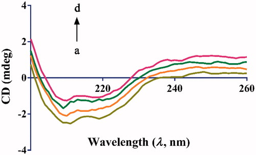 Figure 6. CD spectra of α-glucosidase in the presence of 7 u. c(α-glucosidase) = 2 µM. The molar ratios of 7 u to α-glucosidase were 0:1, 1:1, 2:1 and 4:1 for curves a → d, respectively.