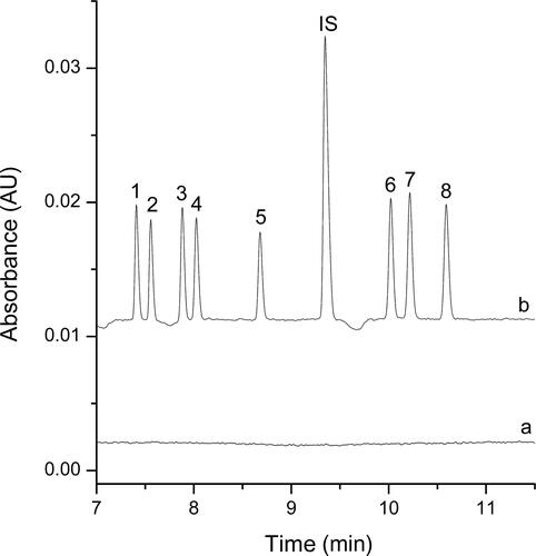 Figure 3. Electropherograms obtained for the spiked biological samples before (a) and after (b) dispersive liquid–liquid microextraction (DLLME) extraction under the optimum conditions. Extraction conditions: dispersive solvent, 0.5 mL isopropyl alcohol; extraction solvent, 41.0 µL CHCl3; room temperature; pH of sample, 9.0; analytes concentration spiked, urine: 50 ng/mL; internal standard: 3 µg/mL lidocaine. Peak identification: (IS) lidocaine, (1) AM: amphetamine, (2) MA: methamphetamine, (3) MDA: methy­lenedioxyamphetamine, (4) MDMA: methylenedioxymethamphetamine, (5) ketamine, (6) codeine, (7) morphine, (8) 6-MAM: 6-monoacetylmorphine.