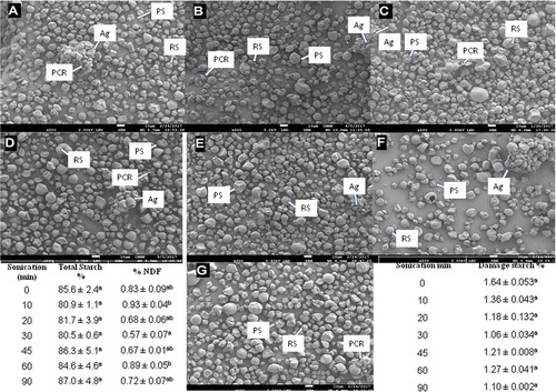 Figure 4. Changes on the morphological structure of jicama starch granules and in their neutral dietary fiber and total starch contents (NDF, TS), and in the damaged starch percentage as a result of sonication duration. Scanning electron micrographs. (a) Control sample; B–G: sonicated samples: (b) 10 min; (c) 20 min; (d) 30 min; (e) 45 min; (f) 60 min; (g) 90 min. RS: round starch granules; PS: polygonal starch granules; Ag: agglomerates starch granules; PCR: parenchyma cell wall residues. Data are the average value ± standard deviation. Values followed by a different letter in the same column are significantly different (p ˂ 0.05).Figura 4. Cambios en la morfología de los gránulos de almidón de jícama, en el contenido de fibra dietética neutra, almidón total (NDF, TS) y en el porcentaje de almidón dañado como resultado del tiempo de sonicación. Micrografías electrónicas de barrido. (a): muestra control; B-G: muestras sonicadas: (b) 10 min; (c) 20 min; (d) 30 min; (e) 45 min; (f) 60 min; (g) 90 min. RS: gránulos de almidón redondo; PS: gránulos de almidón poligonal; Ag: aglomerado de los gránulos de almidón; PCR: residuos de la pared celular del parénquima. Los datos son el valor promedio ± desviación estándar. Los valores seguidos por una letra diferente en la misma columna son significativamente diferentes (p ˂ 0,05).