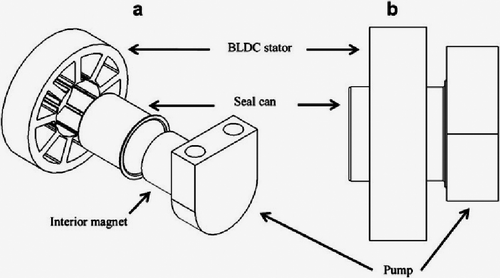 Figure 1 Magnetic coupling arrangement in BLDC.