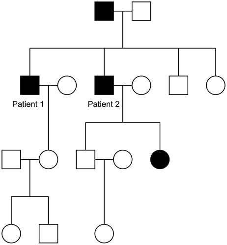 Figure 2. Pedigree of the four-generation family with the Brooke–Spiegler (CYLD) skin tumor syndrome.