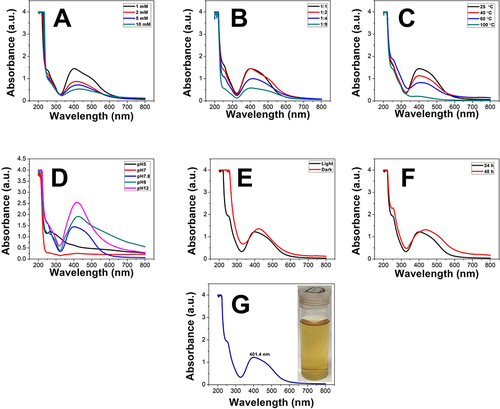 Figure 4 Wavelength (nm) of Nos@AgNPs synthesized by Nostoc muscorum Lukesova 2/91 at various optimization parameters of precursor concentration (A), algal to precursor ratio (V/V) (B), temperature (C), pH (D), illumination condition (E), incubation time (F), and final optimized Nos@AgNPs (G).