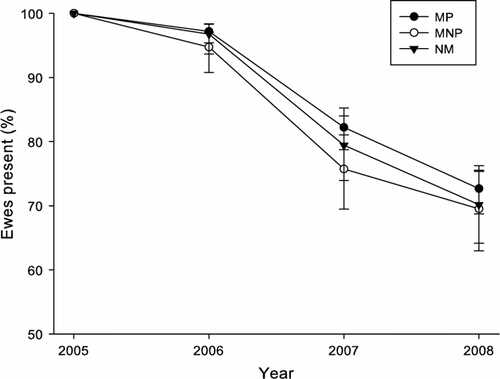 Figure 2  Effect of ewe group (mated and lambed [MP], mated and not lambed [MNP] or not mated [NM] as a hogget in 2004) on the proportion (%) of ewes present in 2005, 2006, 2007 and 2008. *MP is different (P <0.05) from MNP.