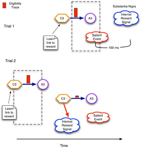Figure 11. Temporal regression of predictive competence using eligibility traces and reinforcement signals in the basal ganglia. C2 and C3 are contexts detected by the striatum and STN, whereas A2 and A3 are accepted/chosen versions of C2 and C3, respectively.