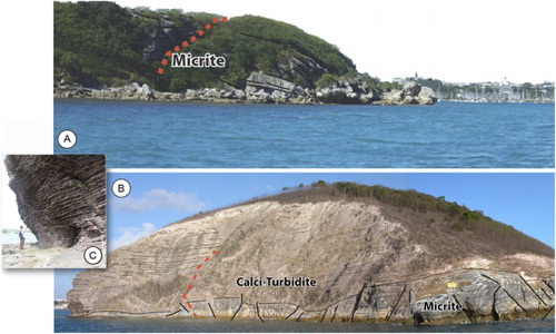 Figure 2. Panorama view of A, Point Denouel and B, Ilôt Brun peninsula. The main stratigraphic features, including the boundary between micrite and calciturbidite, the orientation of strata, minor sub-vertical faulting and the sampling track (red dotted line) are shown in (B). C, Close-up view of the basal well-stratified calciturbidites at Ilôt Brun.