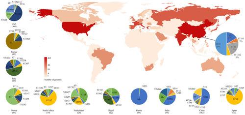 Figure 3 Geographic distribution and MLST typing results of K. pneumoniae samples in different countries and regions of genomic samples from NCBI and Shunde hospital; The color shades on the map represent the number of samples. The pie chart link with black line to China on the main map represents the MLST typing results of samples from Shunde hospital. The pie chart next to the main map represents MLST typing results of 13 countries.