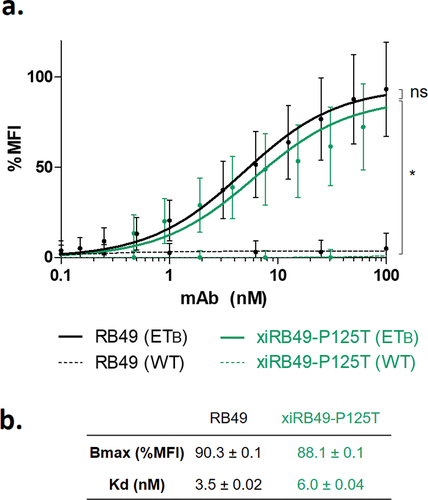 Figure 3. FACS binding curves of RB49 and xiRB49-P125T. (a) RB49 (black) and xiRB49-P125T (green) for CHO-ETB (solid line) and CHO-WT (dashed line). (b) Apparent Kd (nM) and Bmax (% MFI) are indicated in the table. Data are presented as mean ± SD. A two-tailed paired student’s t-test was used for data comparison.